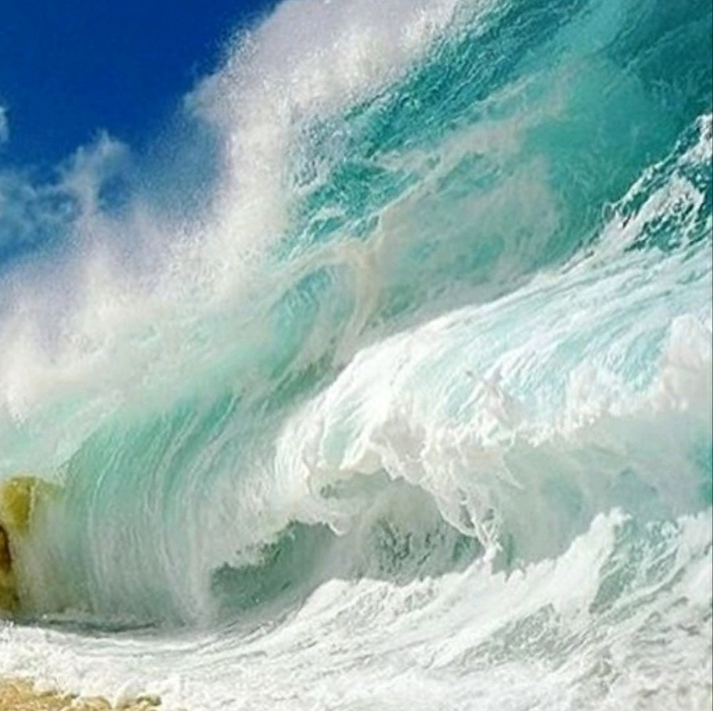 Meet your Posher, Maricela